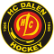 Dalen team logo 