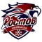 HC Rostov team logo 