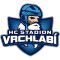 HC Stadion Vrchlabi team logo 