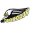 HC Baik Sokolov team logo 