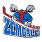 Hk Zemgale/Llu team logo 