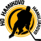 Ho Hamikovo Hamuliakovo team logo 