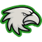 Icehawks HC team logo 