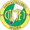 Comet team logo 