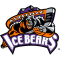 Knoxville ICE Bears