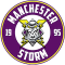 Manchester Storm team logo 