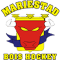 Mariestad Bois HC