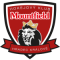 Mountfield HK team logo 