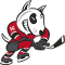 Niagara Icedogs team logo 