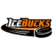 Nikko Kobe Ice Bucks team logo 