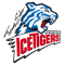 Nuremberg Ice Tigers