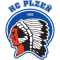 Plzen team logo 