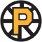 Providence Bruins team logo 