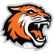 Rochester Tigers