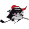 Roedovre Mighty Bulls team logo 