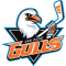 San Diego Gulls team logo 