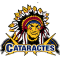 Shawinigan Cataractes