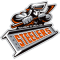 Sheffield Steelers team logo 