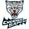 Snezhnye Barsy Astana team logo 