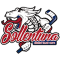 Sollentuna HC team logo 