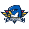 Springfield Thunderbirds