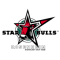 Starbulls Rosenheim team logo 