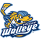 TOLEDO WALLEYE team logo 