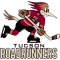 Tucson Roadrunners team logo 