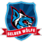 VER Selb team logo 