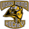 Visby-Roma HK team logo 