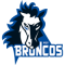 WSV Broncos team logo 