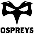 Ospreys