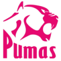 Airlink Pumas