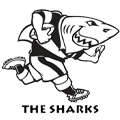 Hollywoodbets Sharks