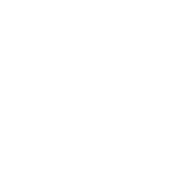 Black Lion