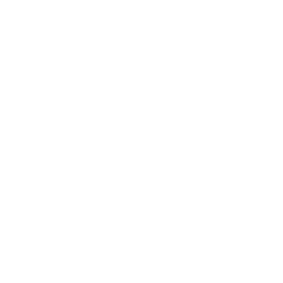 Ospreys