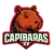 Capibaras Xv