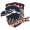 American Raptors team logo 