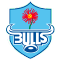 Blue Bulls team logo 