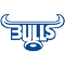 Bulls team logo 