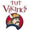 Fnb Tut Vikings team logo 