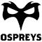 Ospreys team logo 