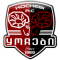 Qochebi team logo 