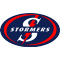 Stormers team logo 