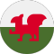 País De Gales team logo 