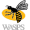 Wasps RFC team logo 