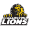 Wellington team logo 