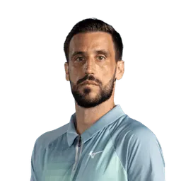 Damir Dzumhur