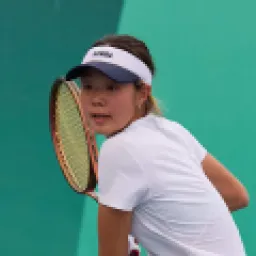 Yihan Qu