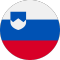 Slovenia team logo 